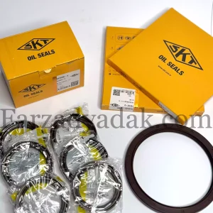 کاسه نمدسر و ته میل لنگ فرگوسن SKT